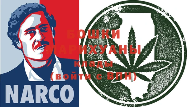 ПСИЛОЦИБИНОВЫЕ ГРИБЫ Абаза