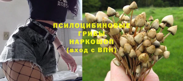 ECSTASY Абинск