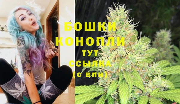 ПСИЛОЦИБИНОВЫЕ ГРИБЫ Абаза
