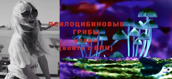 ECSTASY Абинск